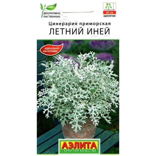 Цветовое разнообразие